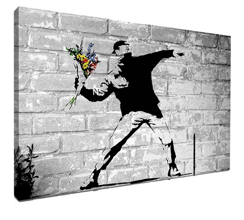 Banksy flower thrower - banksy,