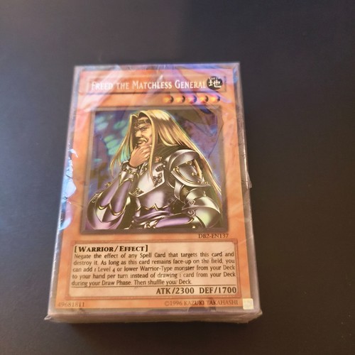 Warrior triumph - warrior,