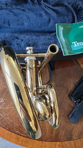 Weril trumpet piston - weril,