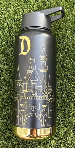 Disneyland princess castle - princess,