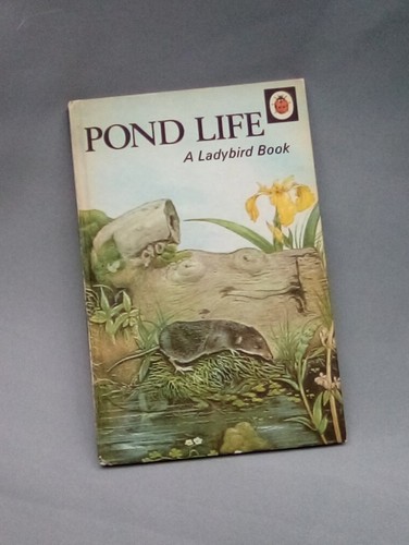 live ladybirds