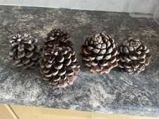 Giant Pinecone For Craft, Wreaths, Weddings, Decoration. 