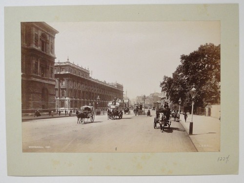 Whitehall horse carriages - horse, &
