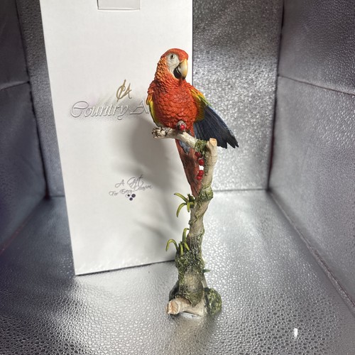Country artists scarlet macaw - artists,