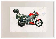 A2 Photo Frame Buell XB12XT