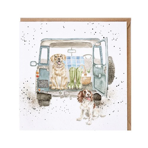 Labrador and spaniel birthday - and,