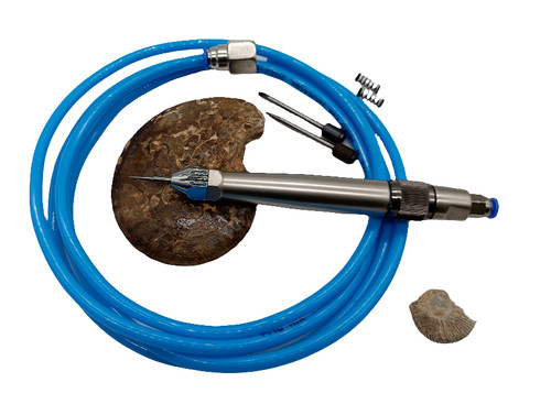 Fossil preparation - fossil,