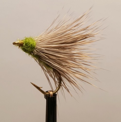 Sedge hog olive fly - sedge,