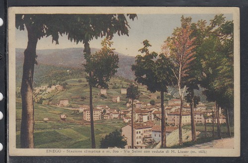 selmi