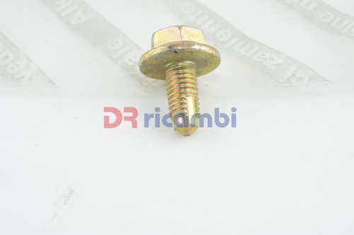 Exhaust gas pipe fixing screw - gas,