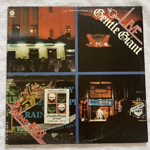 Gentle giant playing - gentle, fool