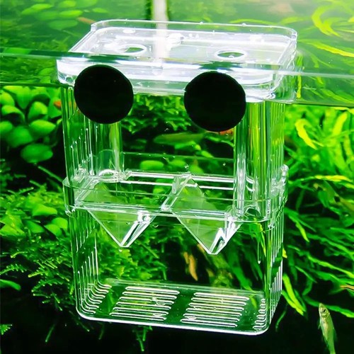 Aquarium fish breeding box - aquarium,