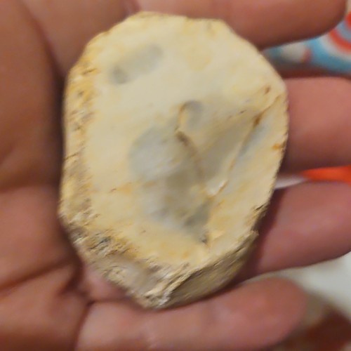 Natural unpolished geode - natural,