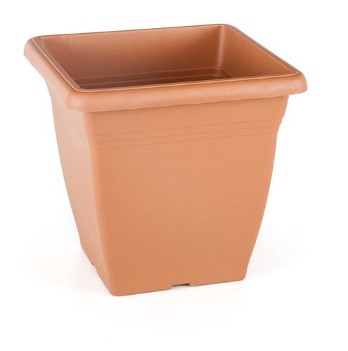 Plastic square planter - planter, flower