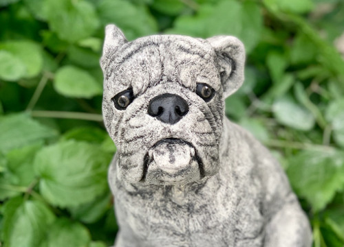 Boxer garden statue - , cement
