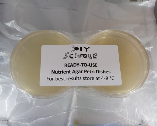 Nutrient agar petri dishes - agar, x6