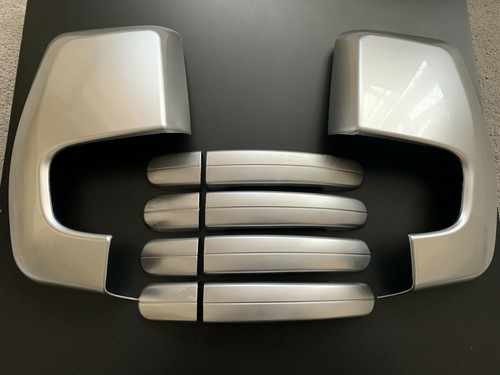Silver wing mirror handle - silver,