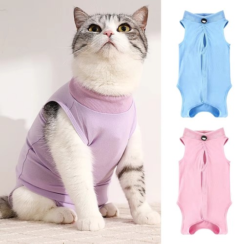 Pet cat recovery - cat,