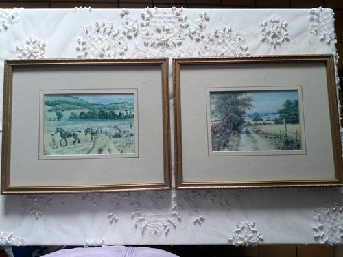Two glass framed pictures - glass,