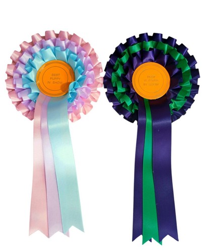 Tier rosettes best puppy - tier,