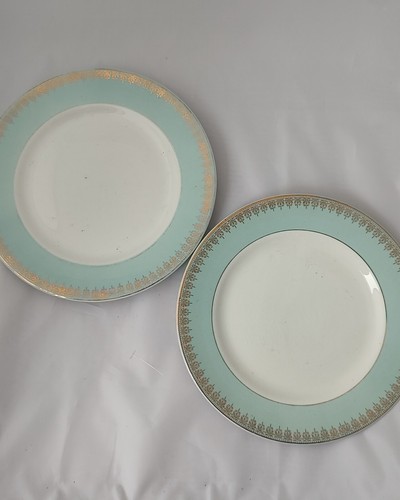 Delphatic white tableware - white,