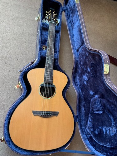 Vintage gordon giltrap - vintage,