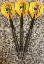 Unicorn Raymond Van Barneveld