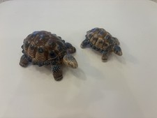 1960’s Vintage Wade Tortoise