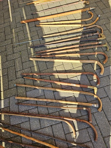 Walking sticks lot - walking,