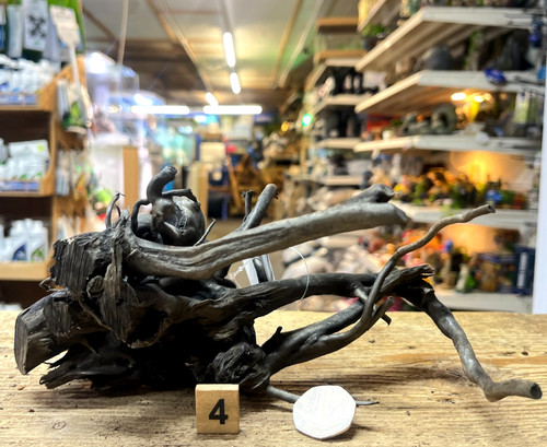 Black moor root wood small - black,