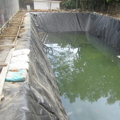 Pond liner garden - liner,