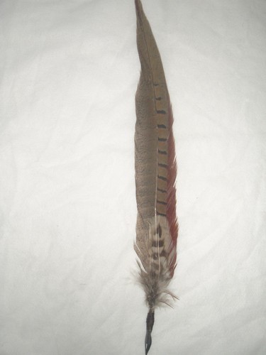 Rustic feather pheasant - rustic, quill
