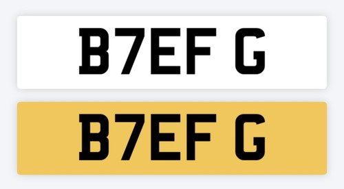Beef private number - number, plate
