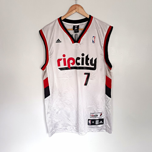 Adidas swingman portland trail - portland,