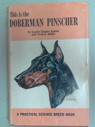 Dobermann pinscher this - dobermann,