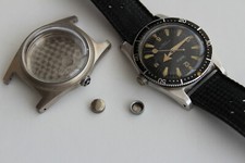 RARE 1960s NITELLA TITUS