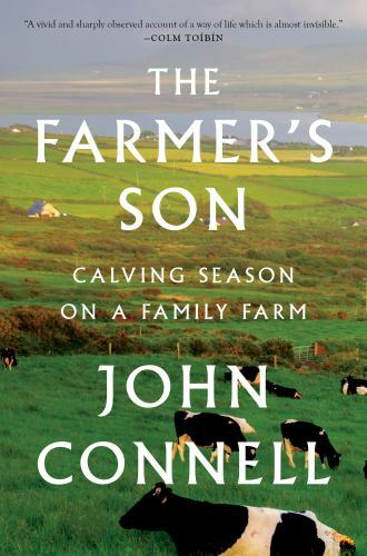 The farmer son - the, calving