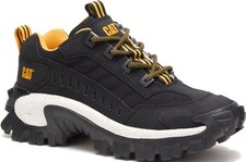 Caterpillar Cat Intruder