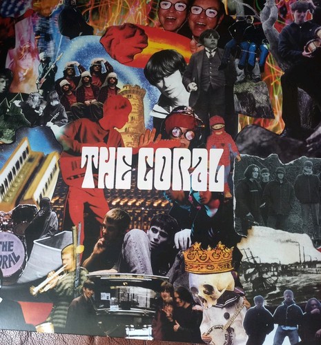 The coral - coral, blood
