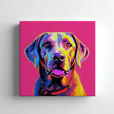 Labrador Retriever Dog