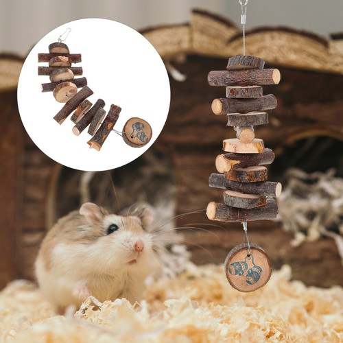 Small animal cage - animal, accessory