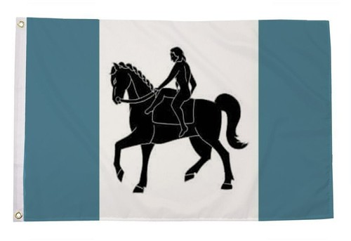 Coventry 5x3 feet flag 150cm - flag,
