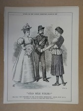 full page punch cartoon CEAD MILE FAILTE erin , ireland