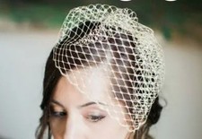 Veil Birdcage Blusher Wedding