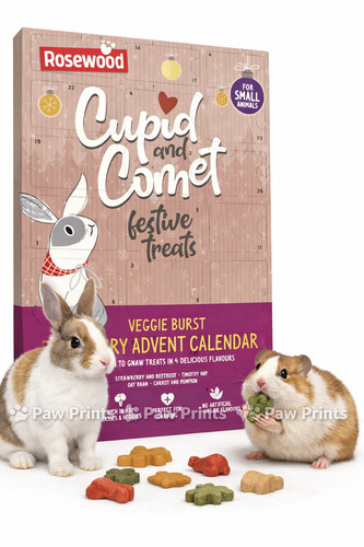 Rabbit hamster guinea - hamster,
