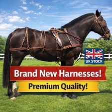 Windsor oily leather harness - windsor,