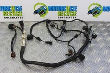 Kawasaki wiring loom - r,