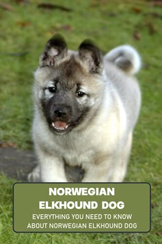 Norwegian elkhound dog - elkhound,