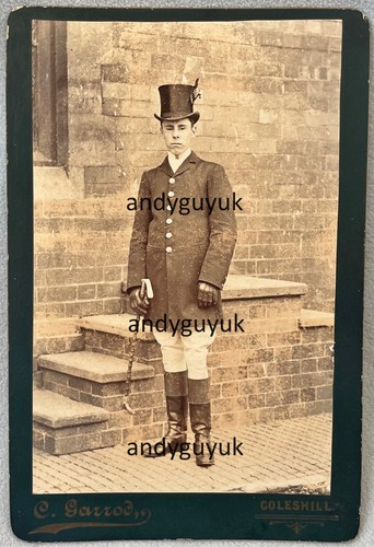 Cabinet card coachman horse - card,
