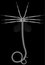 X-RAY on photographic film light box art Alien FaceHugger fan art halloween